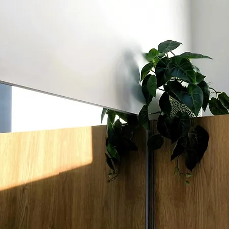 Appartement Elumen I Near Cathedral & Bernardine Park