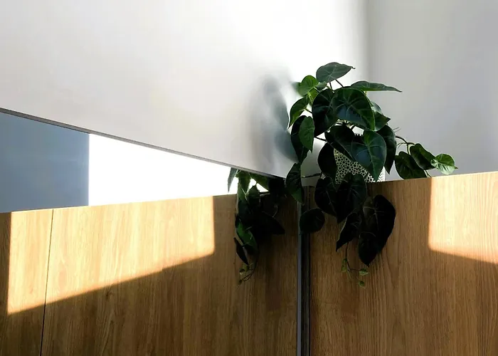 Apartman Elumen I Near Cathedral & Bernardine Park