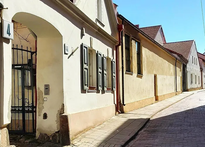 Elumen I Near Cathedral & Bernardine Park Daire Vilnius